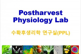 수확후생리학_캡처.JPG